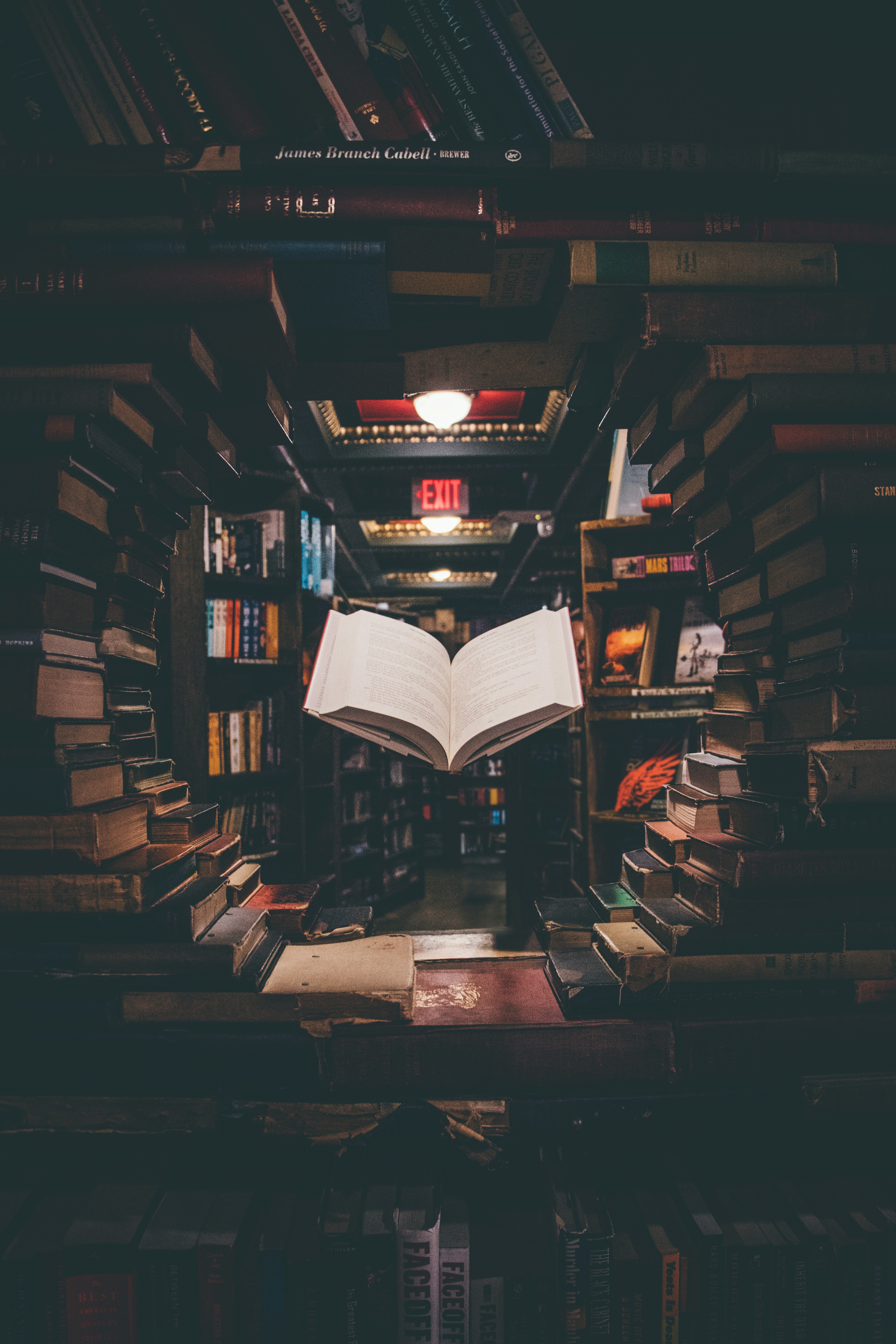 Image credit: [**Unsplash**](https://unsplash.com/)